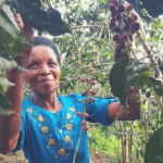 Marie Bedabasingwa auf ihrer Kaffeeplantage