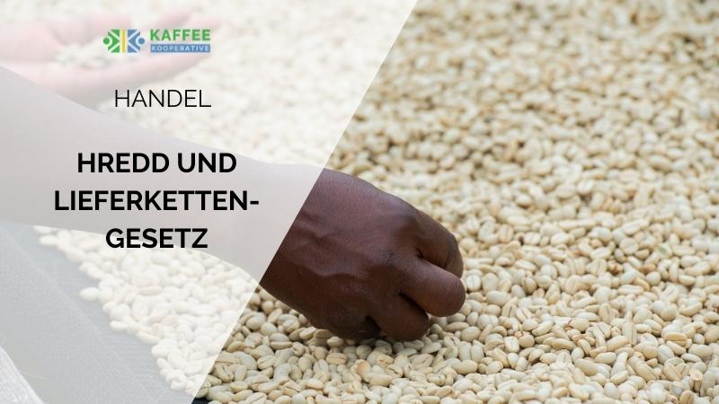 Lieferkettengesetz HREDD