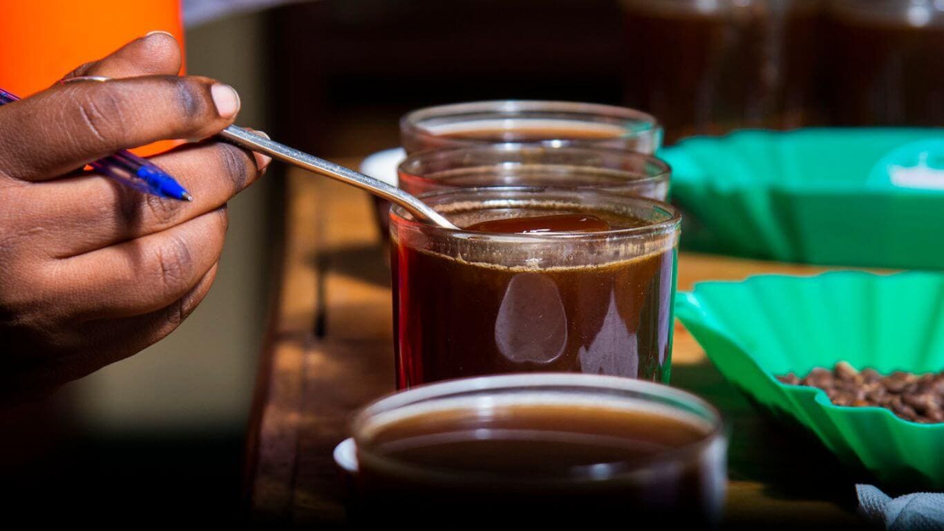 Kaffee Cupping/Verkostung von Angelique's Finest Spezialitätenkaffee