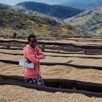 10 Tonnen Kaffee aus den Team der Kaffee Kooperative